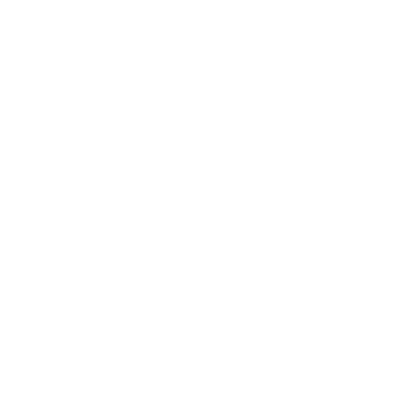nff_logos_sfd_site_2026_dec
